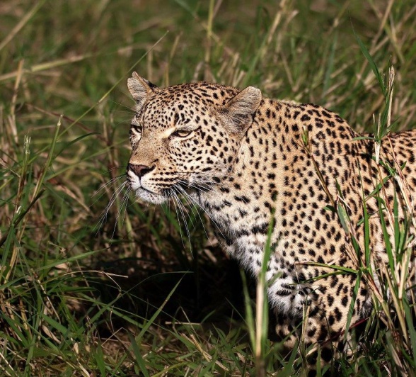 A35Coenraad Stapelberg Kigelia 220523 2