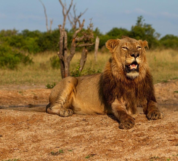 A14Dieter Lategan Talamati 150523 05 1 Of 1