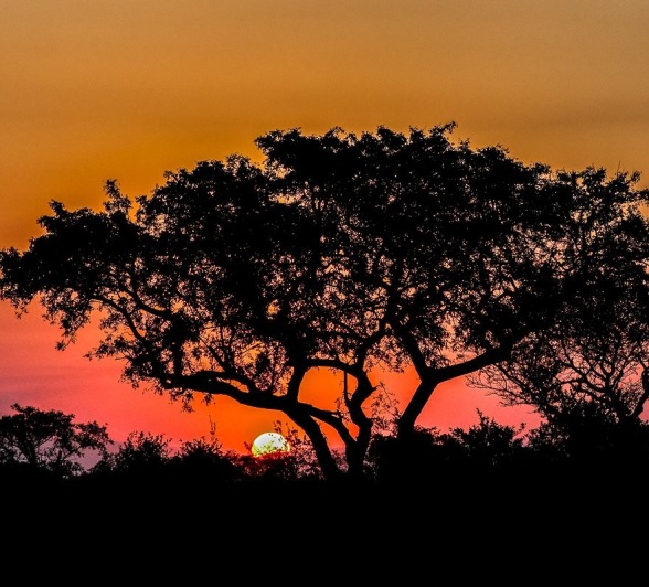 Sabi Sabi Ruan Mey Sunset Sabi Sabi Ruan Mey Sunset