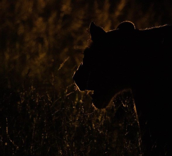 A27Jason Street   Styx   100323   5