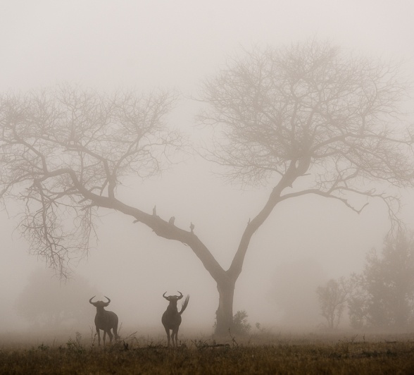 Sabi Sabi Newsletter April Winter Landscape