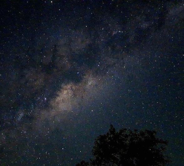 Mesmerised by the twinkling stars Mesmerised by the twinkling stars