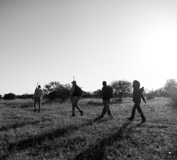 Four people embarking on a walking safari
