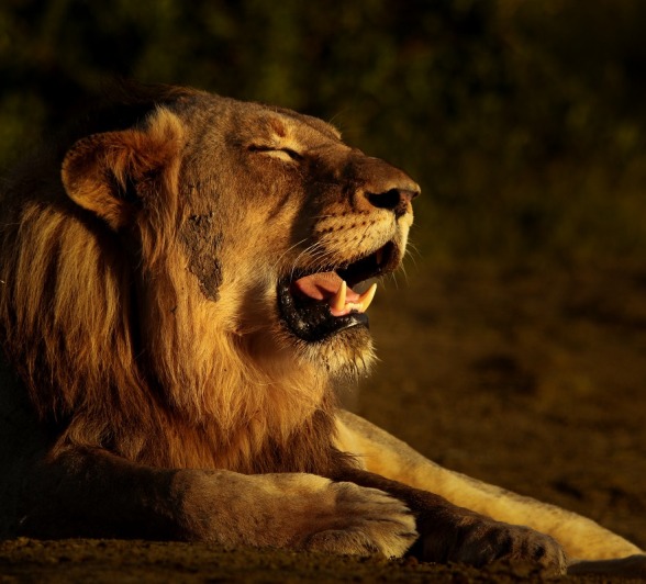 A01Ally Ross 20230124 Talamati Male 03 Final