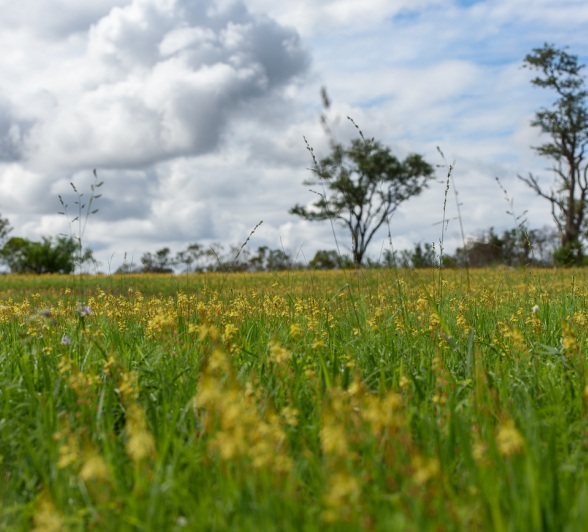 Sabi Sabi Newsletter April Landscapes