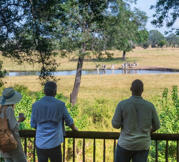 Sabi Sabi Selati Camp Watching Wildlife