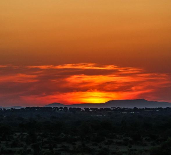 A beautiful sunset from Sabi Sabi. A beautiful sunset from Sabi Sabi.