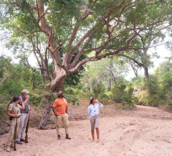 Sabi Sabi Experiences 6