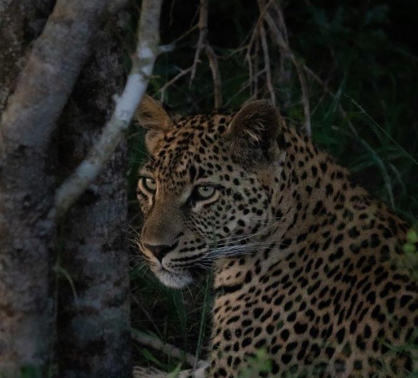 A17Jason Street   Golyoni   070323   2