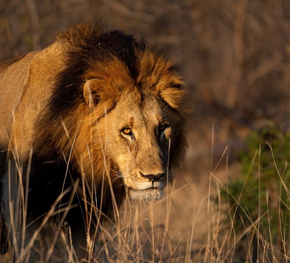 The females were also terrified and kept the male away The females were also terrified and kept the male away