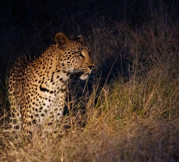 A23Dieter Lategan Golonyi150523 03 1 Of 1