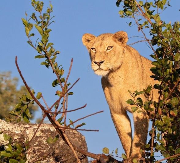 A06Jason Street   Styx   170523   2