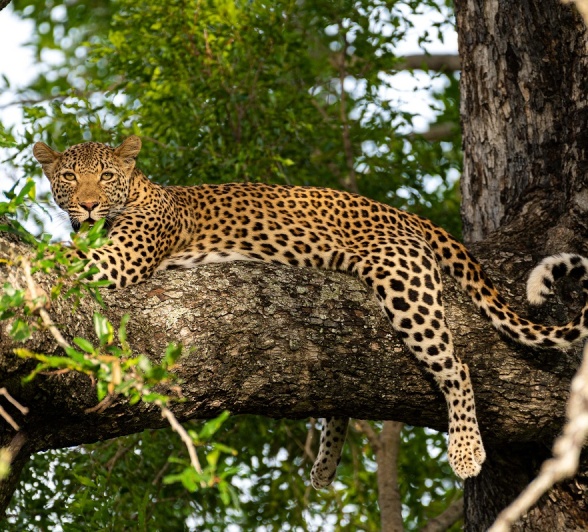 A15Jamiel Tsutsuma 23 01 23 2 Final