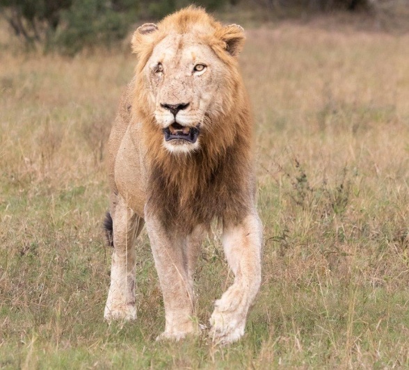 A08Jason Street   Nkahuma Male   210523   2