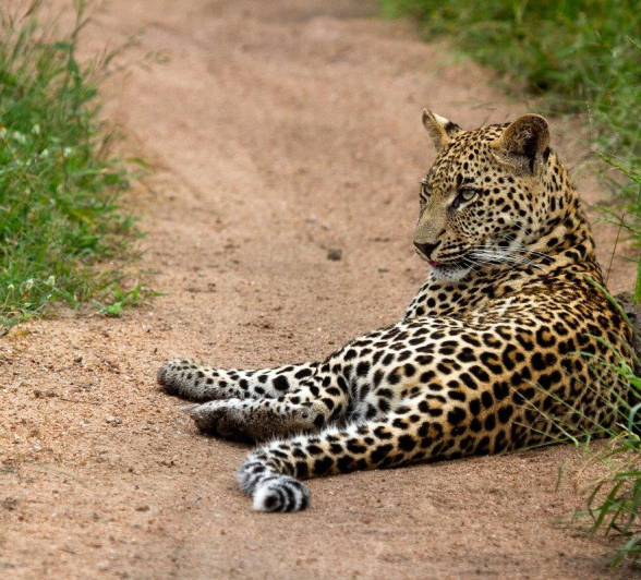 A19Dieter Lategan Ntsumi Cub 060323 01 1 Of 1