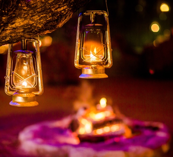 Sabi Sabi Day In The Wild Laterns