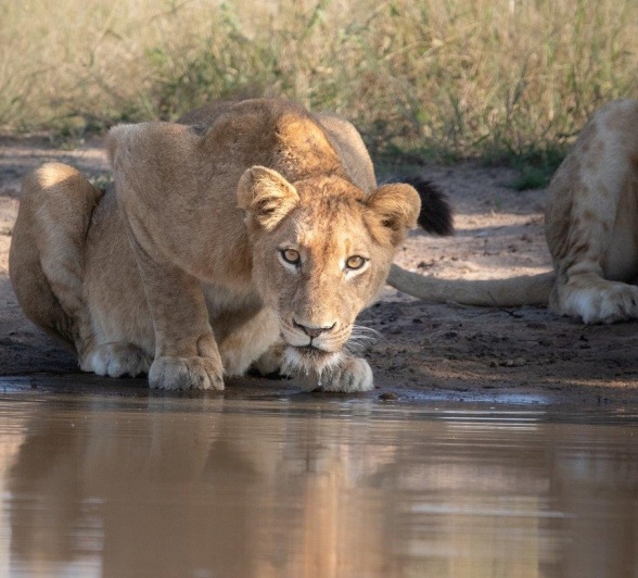 A04Jason Street   Styx   150523   3