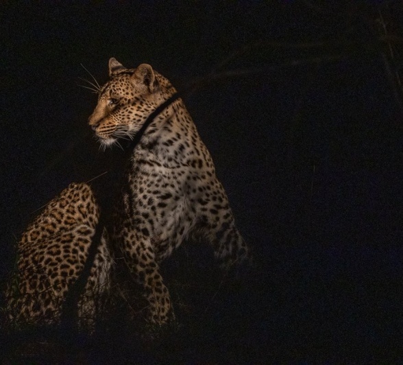 Sabi Sabi Ronald Mutero Kurhula Sabi Sabi Ronald Mutero Kurhula