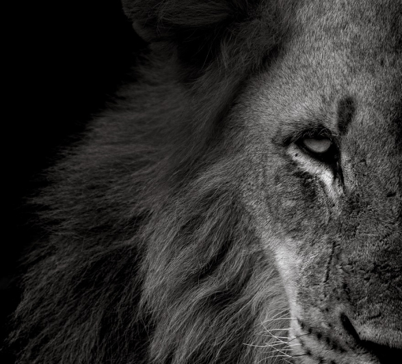 A09Ally Ross 20230130 Kambula Yongsters 04 BW Final