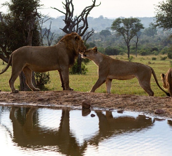 A13Dieter Lategan Talamati 150523 03 1 Of 1