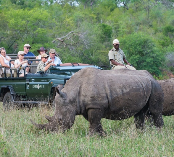 Close encounters with one of Africa’s most endangered species - the white rhino.