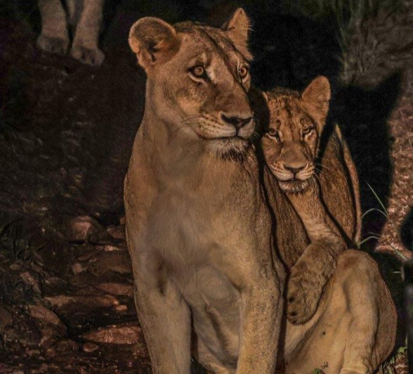 The bonds are strong between members of the Southern Pride.