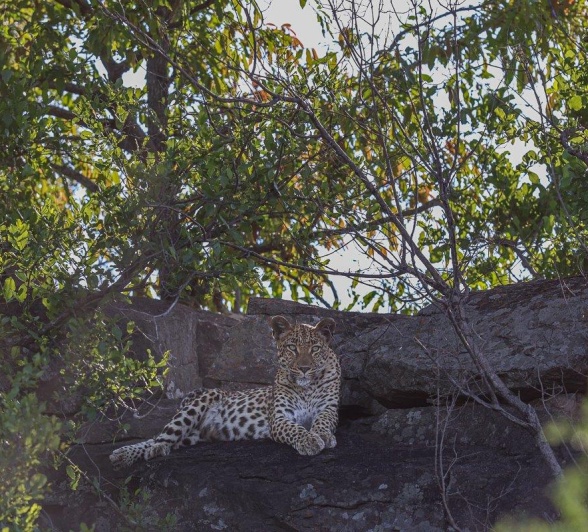 Goloyni sits on a rocky outcrop.