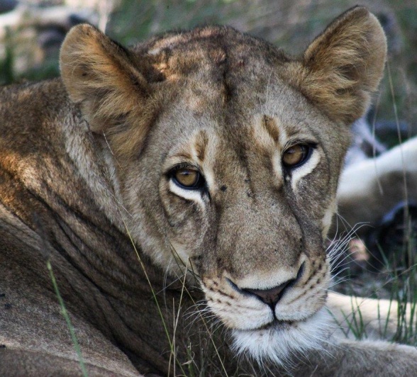 A15Ruan Mey Sp 180523 1