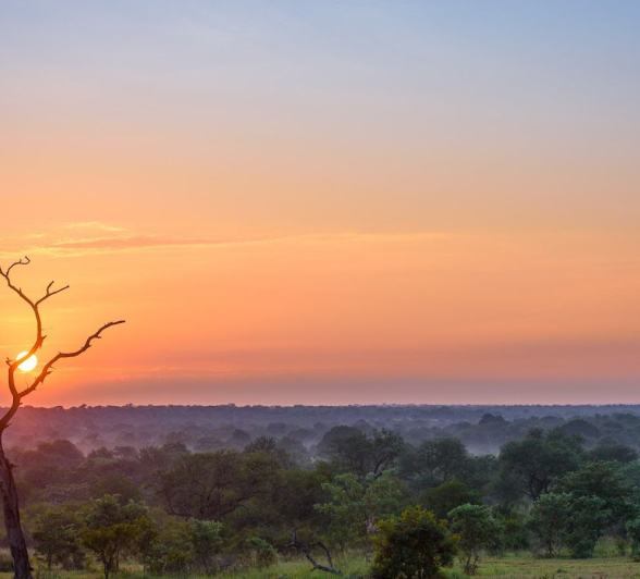 Game drives during sunset in the Sabi Sands guarantee beautiful and unforgettable moments.