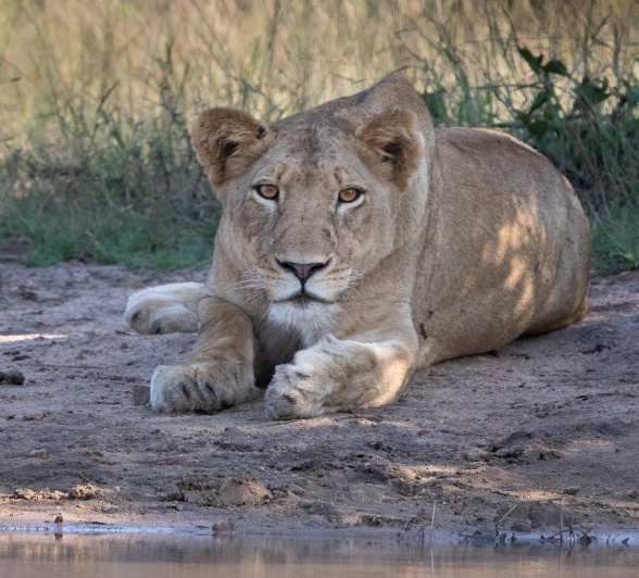 A05Jason Street   Styx   150523   4