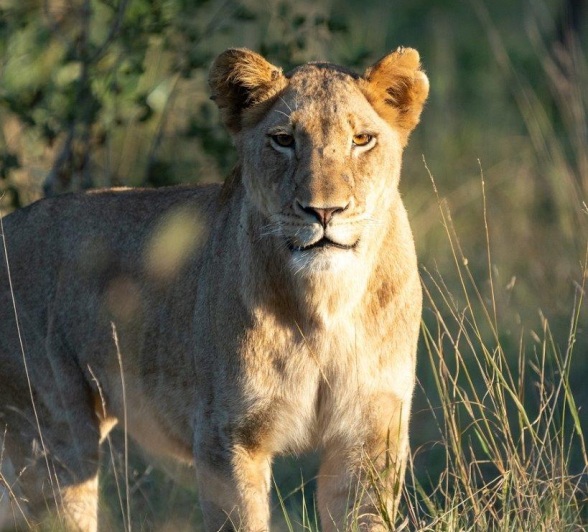 A07MacsToich2023 05 17styx