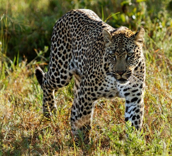 A27Dieter Lategan Makumu 150523 02 1 Of 1