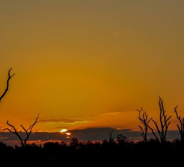 A bush sunset with clouds on the horizon