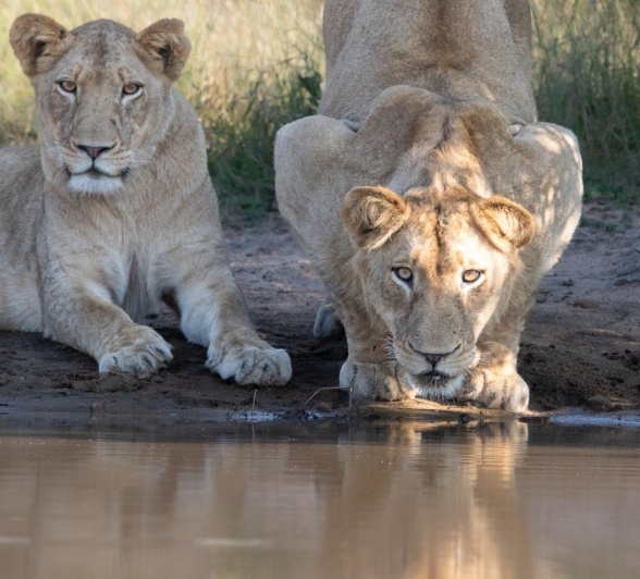 A03Jason Street   Styx   150523   2