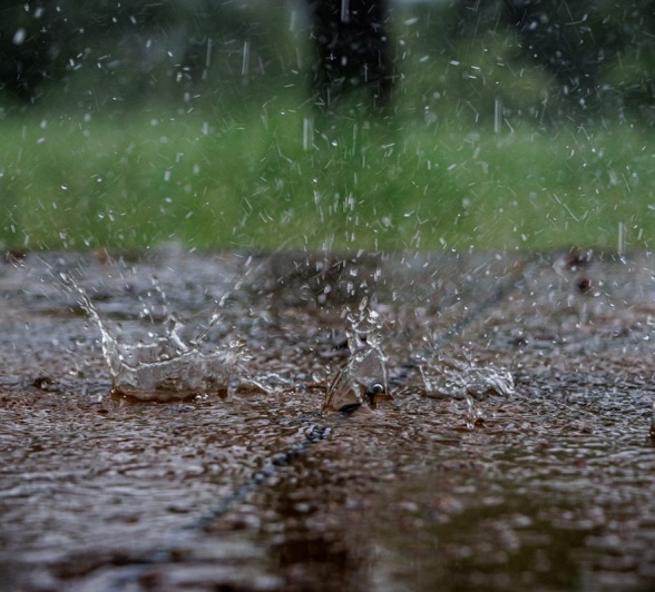 Sabi Sabi Feb Newsletter Safari For Everyone Rain Storm Sabi Sabi Feb Newsletter Safari For Everyone Rain Storm