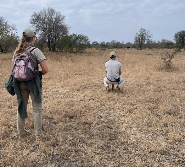 Guides stop to take in the view during a walking safari. Guides stop to take in the view during a walking safari.
