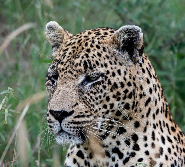 Nweti poses for a photograph Nweti poses for a photograph