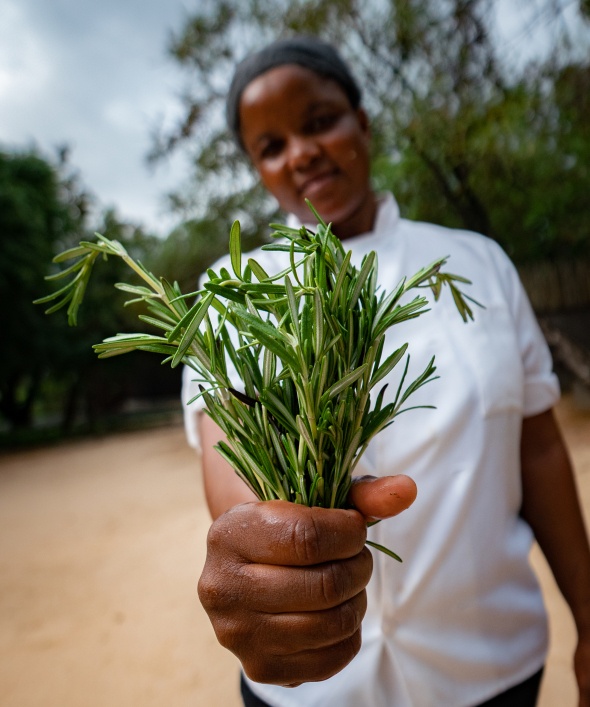 Little Bush Camp's chefs craft with pristine, handpicked ingredients for unrivaled culinary excellence.