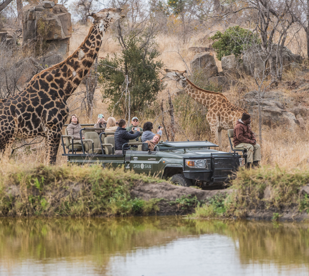 OnSafari 52 OnSafari 52