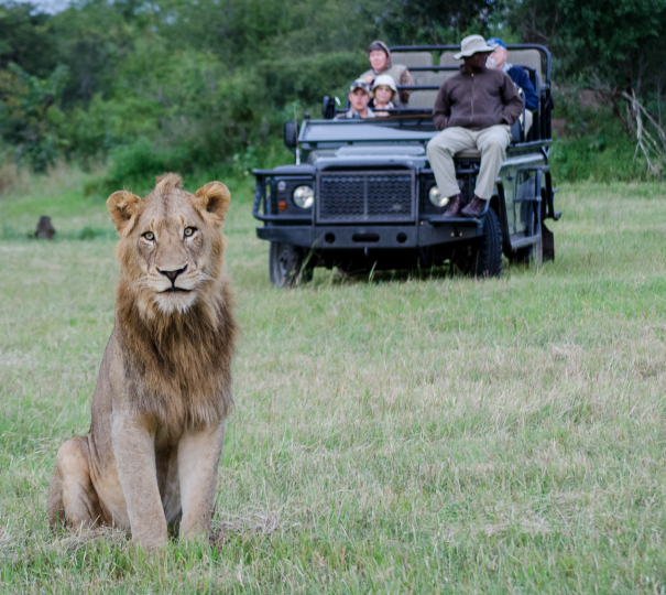 OnSafari 44