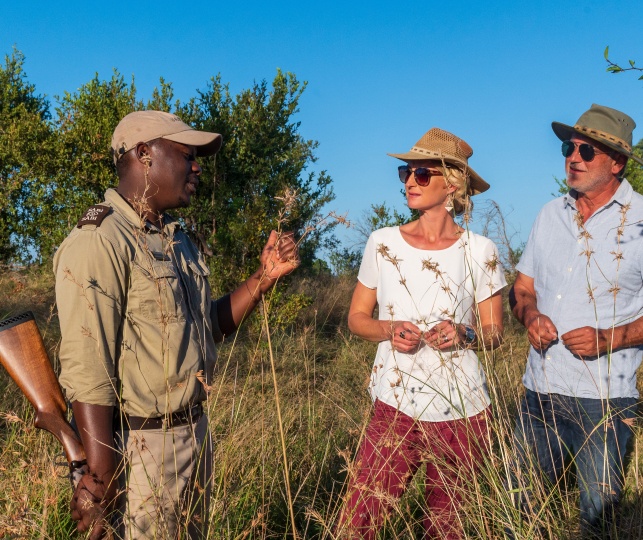 Immerse yourself in the untamed wilderness, exploring with safety and reassurance from Sabi Sabi's guides. Immerse yourself in the untamed wilderness, exploring with safety and reassurance from Sabi Sabi's guides.