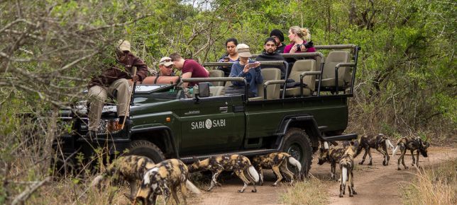 OnSafari 37 OnSafari 37