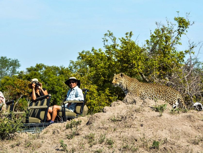 OnSafari_22.jpg OnSafari 22