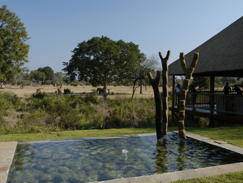 Bush Lodge View
