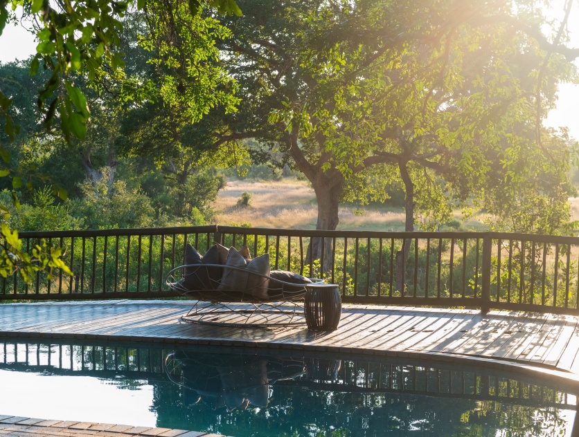 Indulge in the luxury of a private pool at Sabi Sabi Bush Lodge, designed for your ultimate enjoyment. Indulge in the luxury of a private pool at Sabi Sabi Bush Lodge, designed for your ultimate enjoyment.