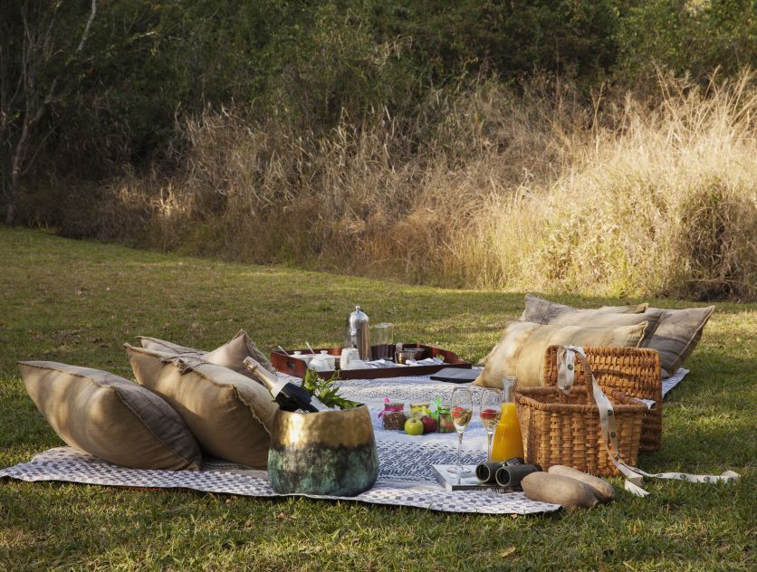 Picnic_1.jpg Picnic 1