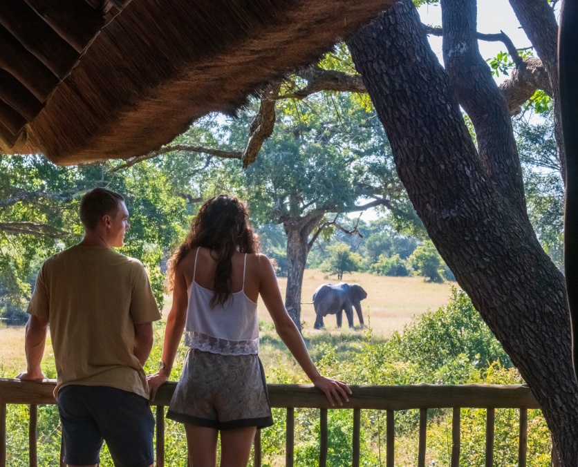 Observe majestic elephants from the deck of the luxurious Sabi Sabi Bush Lodge.