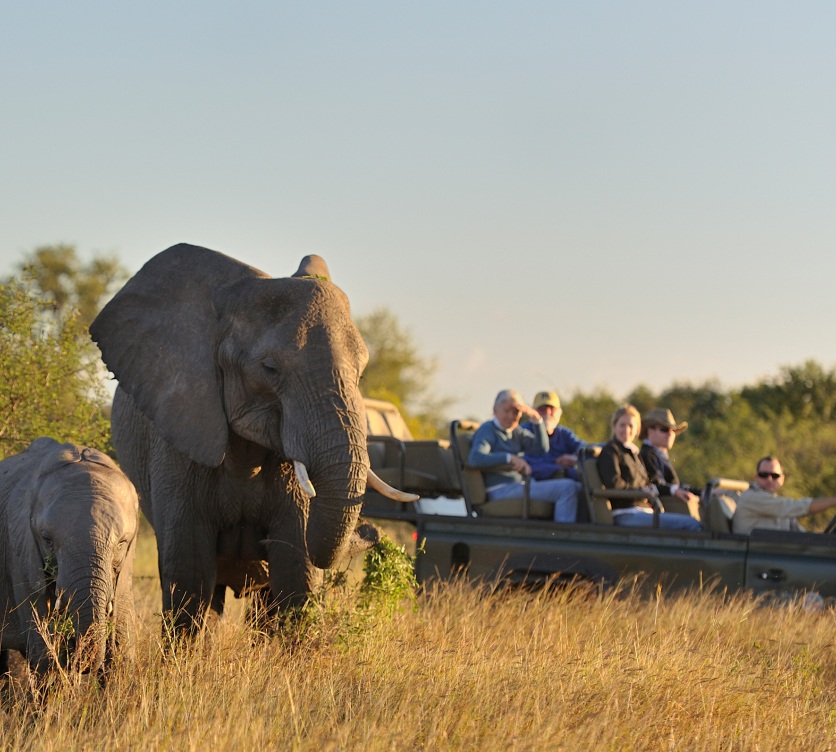 Sabi Sabi Package Pay 3 Stay 4 Cta Elephant Experience Sabi Sabi Package Pay 3 Stay 4 Cta Elephant Experience