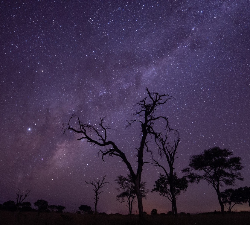 Sabi Sabi Private Game Reserve is the perfect location for the best stargazing experience. Sabi Sabi Private Game Reserve is the perfect location for the best stargazing experience.