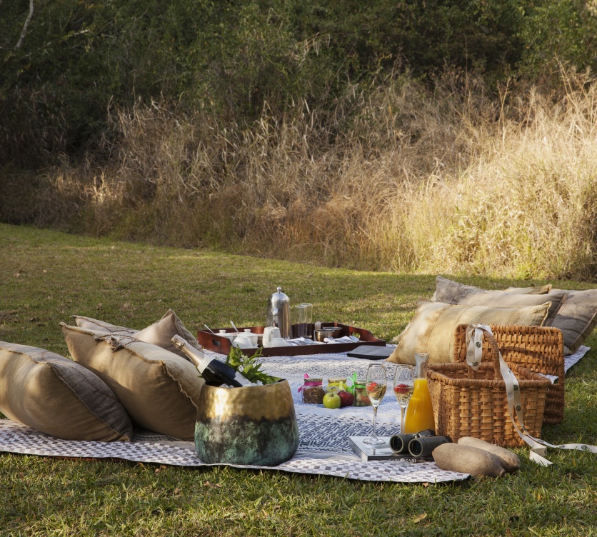 A romantic private bush picnic at Sabi Sabi.